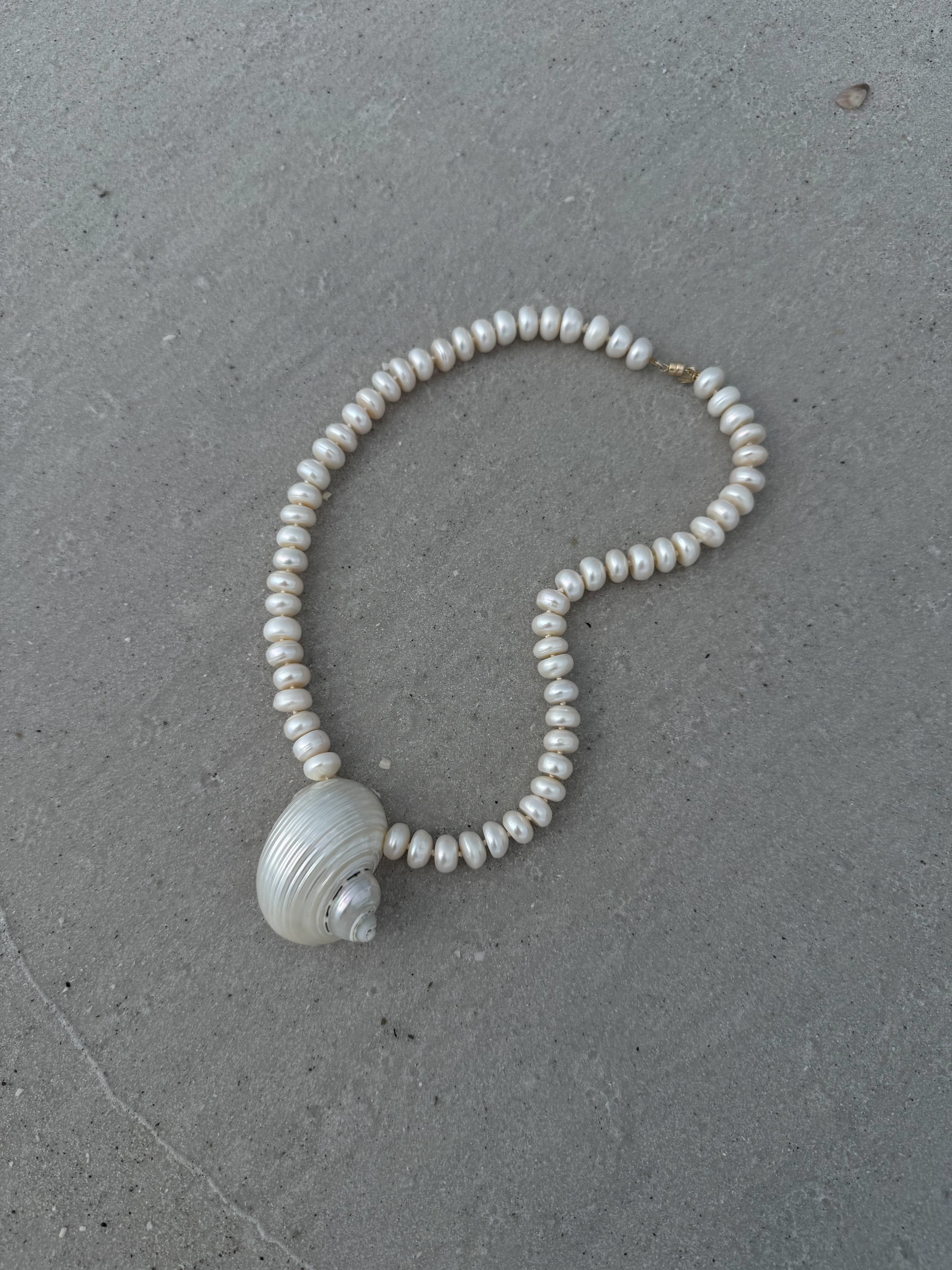 Aurora Turbo Shell Necklace