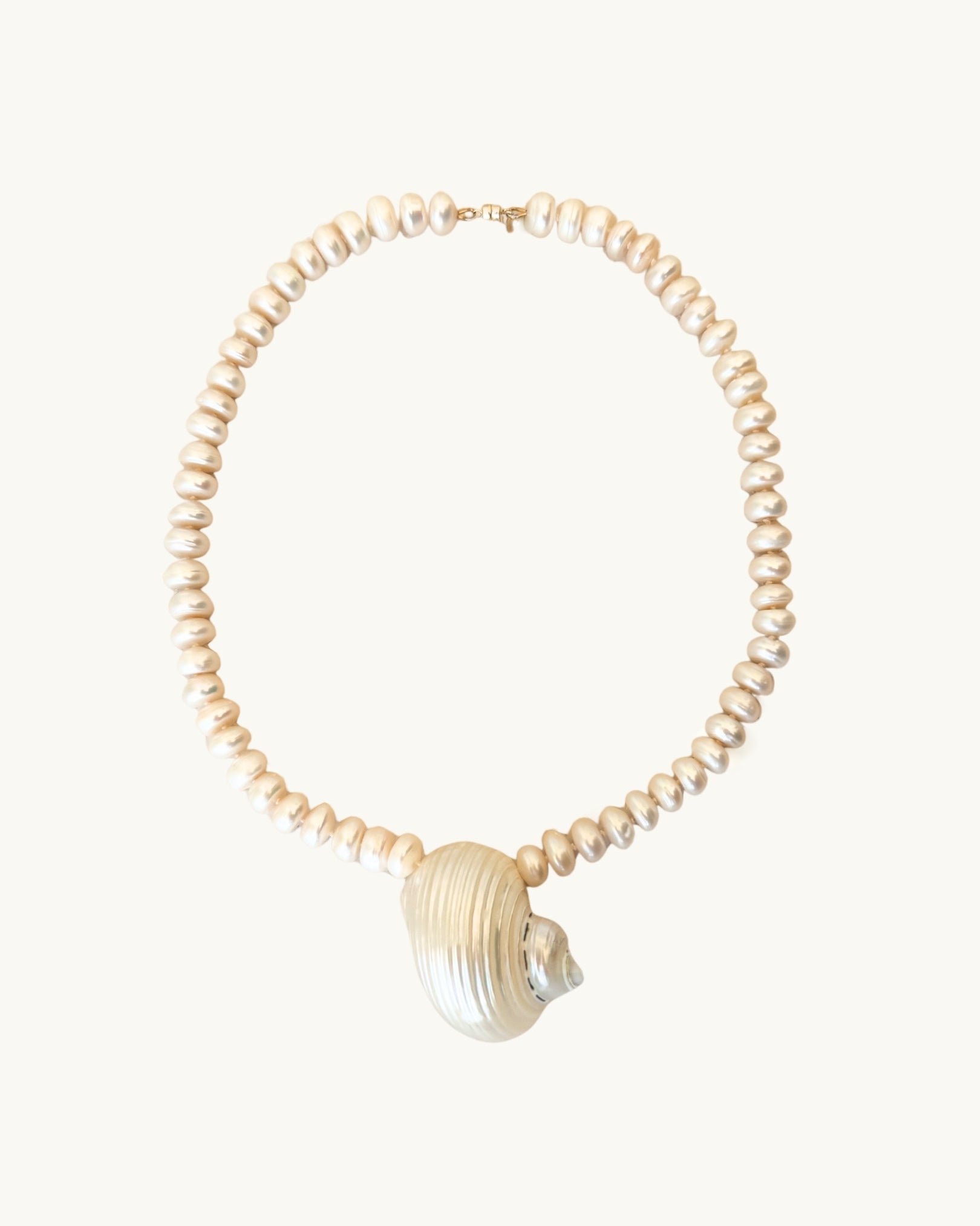 Aurora Turbo Shell Necklace