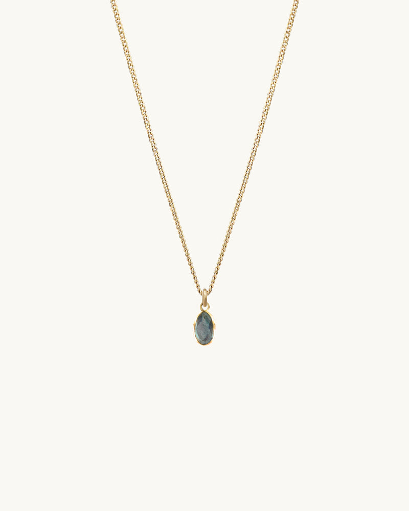 Nubia Labradorite Charm Necklace 14K